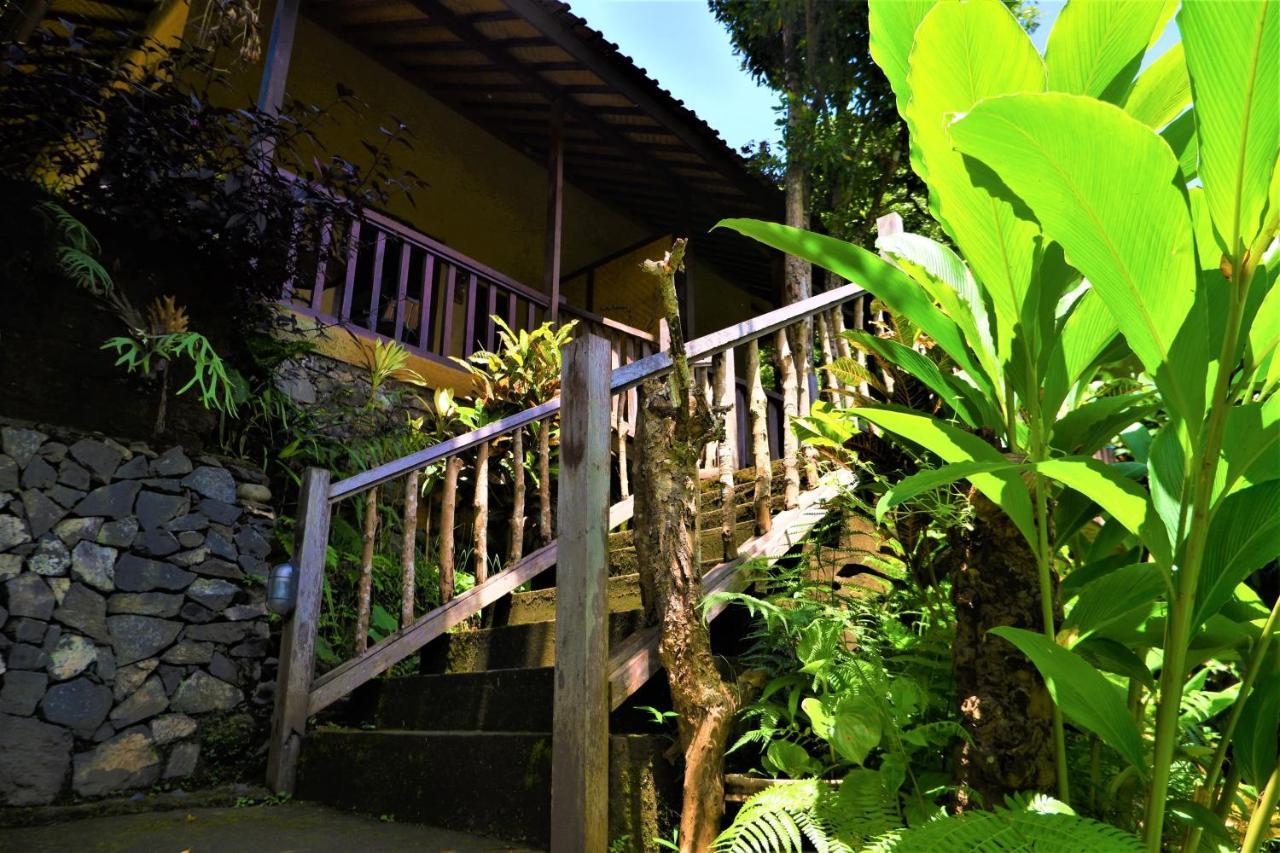 Swar Bali Lodge Munduk Dış mekan fotoğraf